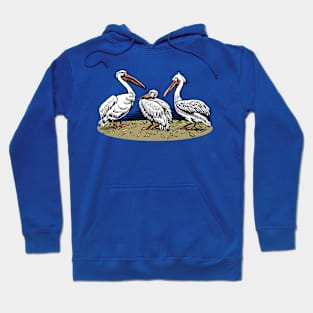 Three Pelicans Hoodie